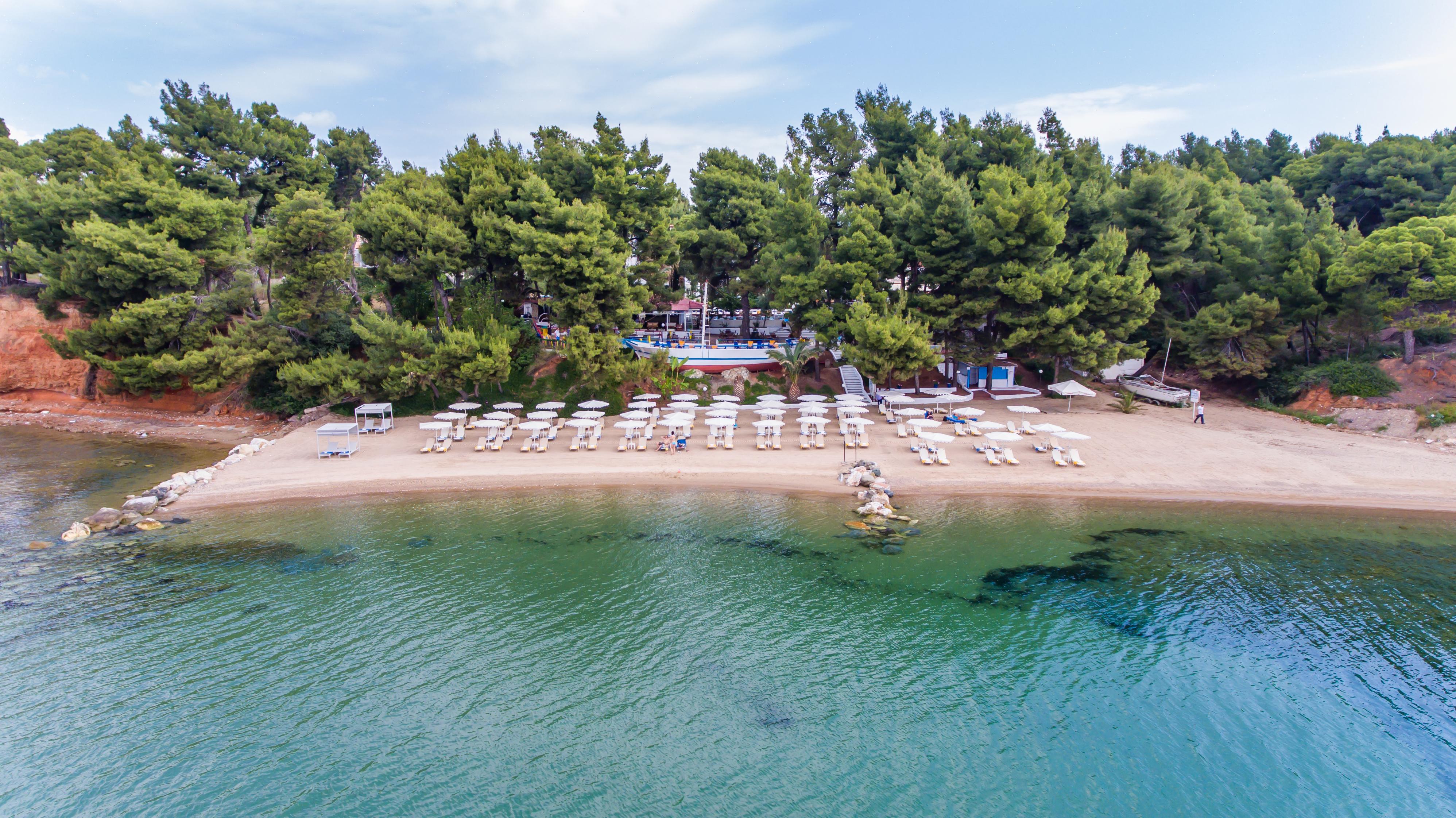 Porfi Beach Hotel Nikiti  Exterior photo